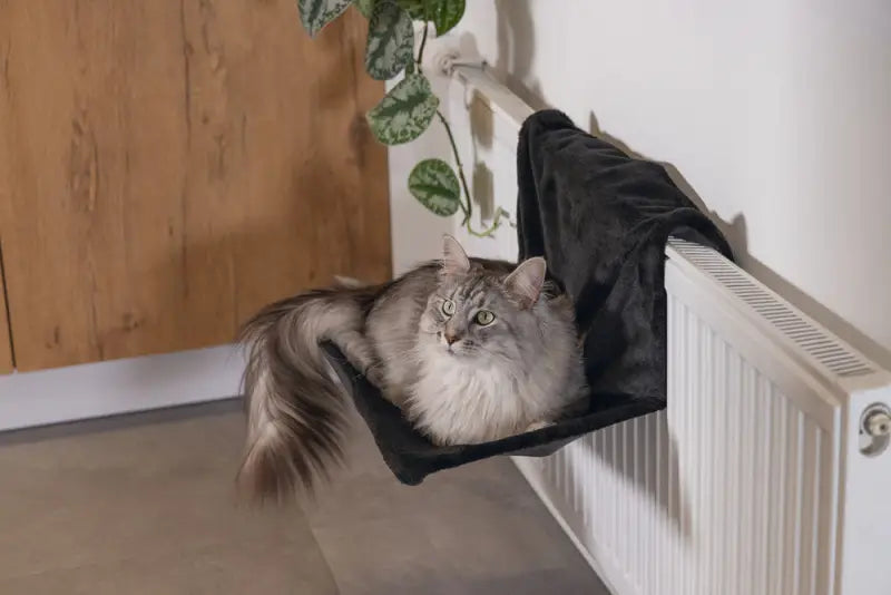 Beeztees Radiatorhangmat Sleepy 46x31x24 cm — Zwart