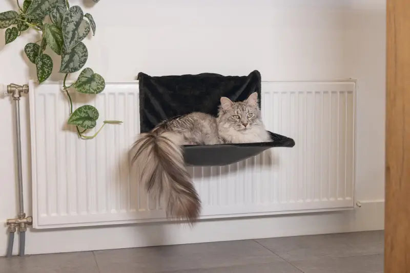 Beeztees Radiatorhangmat Sleepy 46x31x24 cm — Zwart