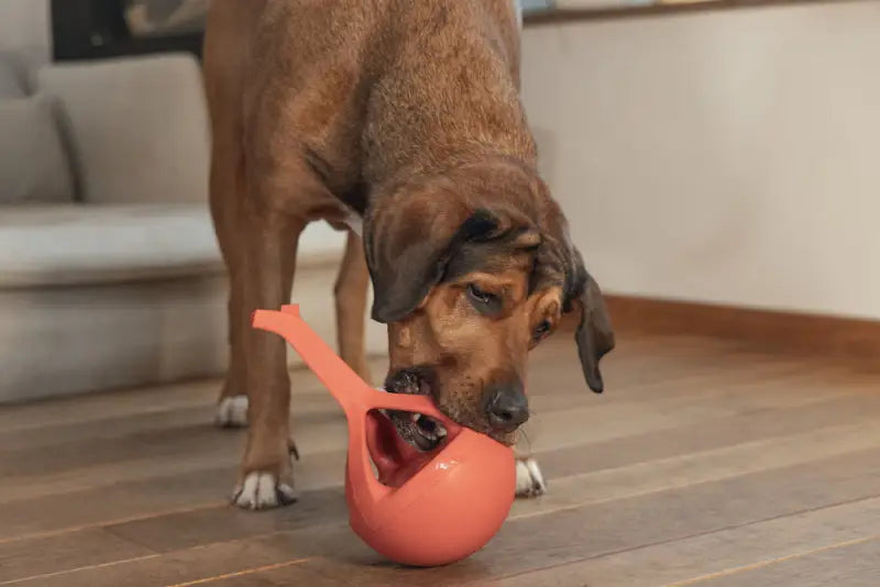 Beeztees Rubber Hondenspeelgoed WiggleX