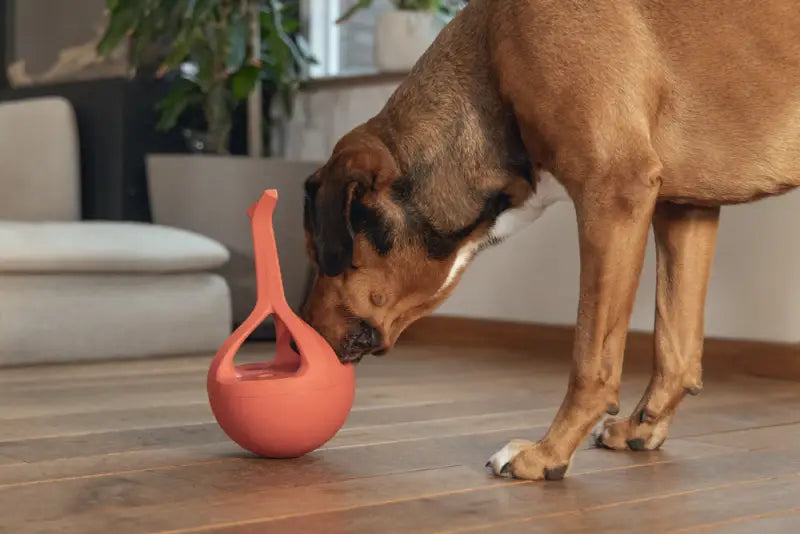 Beeztees Rubber Hondenspeelgoed WiggleX