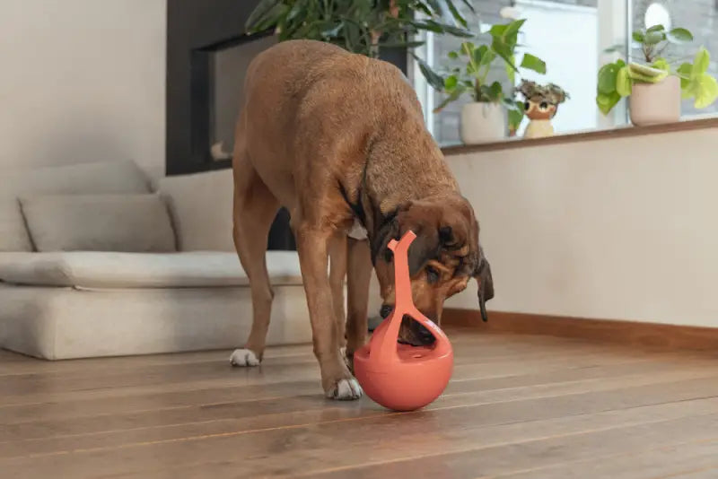 Beeztees Rubber Hondenspeelgoed WiggleX