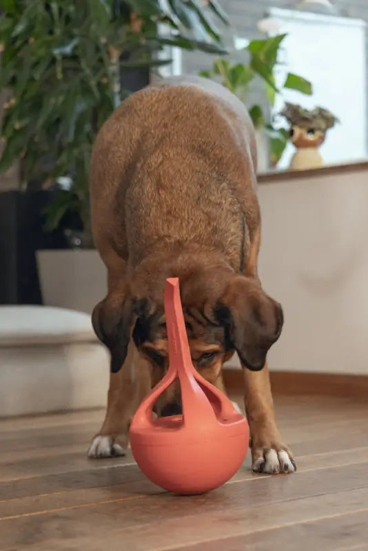 Beeztees Rubber Hondenspeelgoed WiggleX