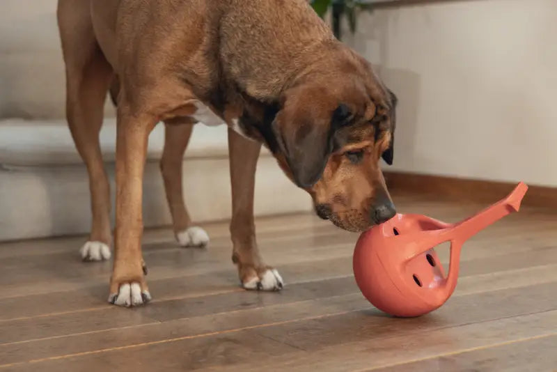 Beeztees Rubber Hondenspeelgoed WiggleX