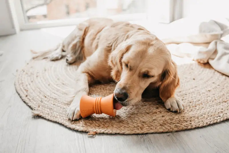 Beeztees Sumo Play Diabolo Hondenspeelgoed oranje 10x7x7 cm
