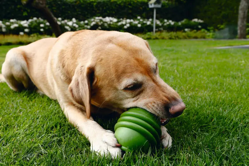 Beeztees Sumo Play L Hondenspeelgoed groen 10x10x15 cm