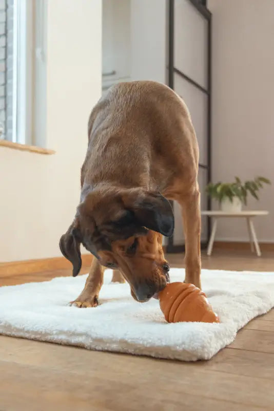 Beeztees Sumo Play L Hondenspeelgoed oranje 10x10x15 cm