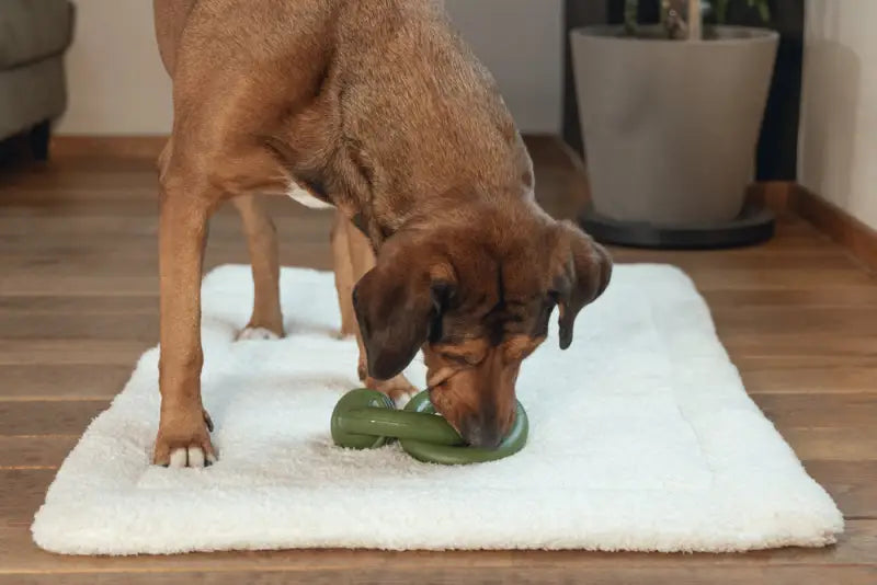 Beeztees Sumo Team Hondenspeelgoed groen 24x15x7.5 cm