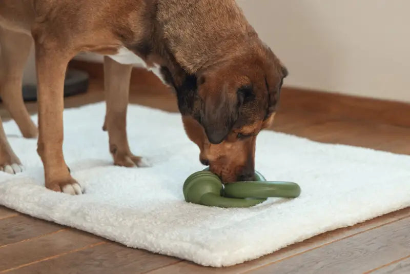 Beeztees Sumo Team Hondenspeelgoed groen 24x15x7.5 cm