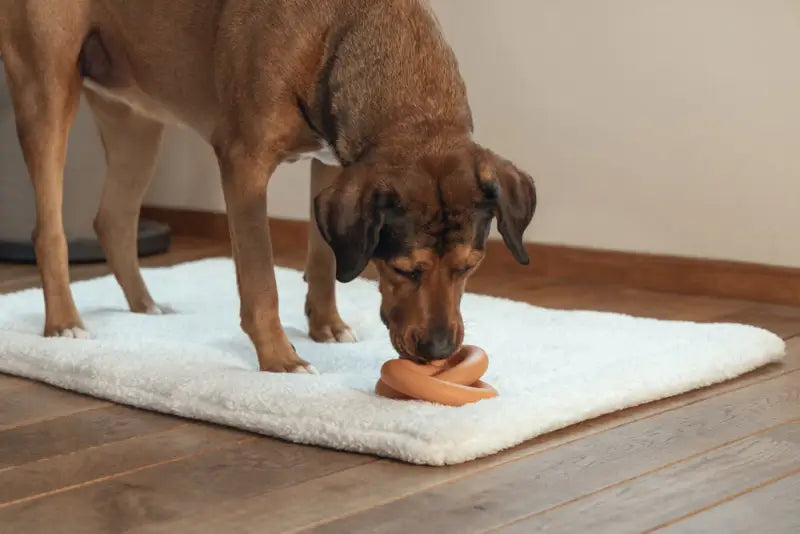 Beeztees Sumo Team Hondenspeelgoed oranje 24x15x7.5 cm