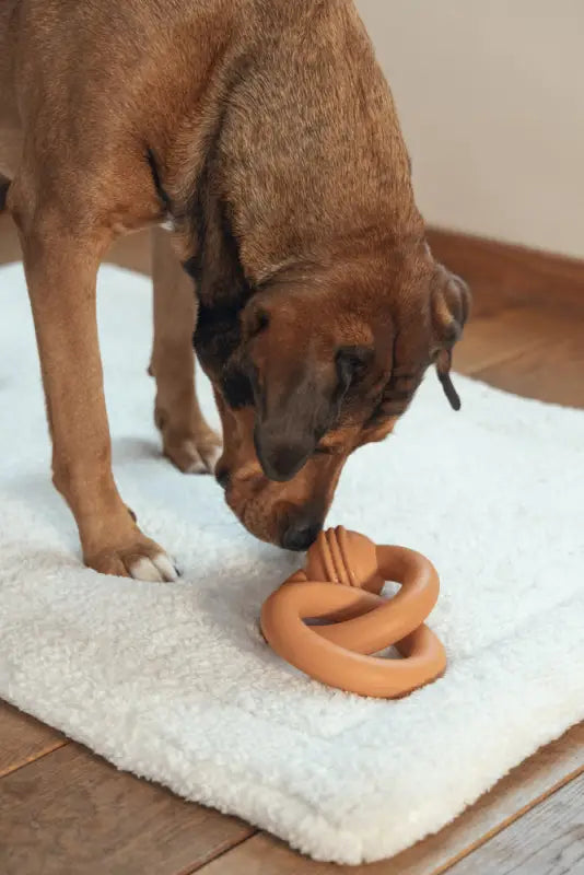 Beeztees Sumo Team Hondenspeelgoed oranje 24x15x7.5 cm