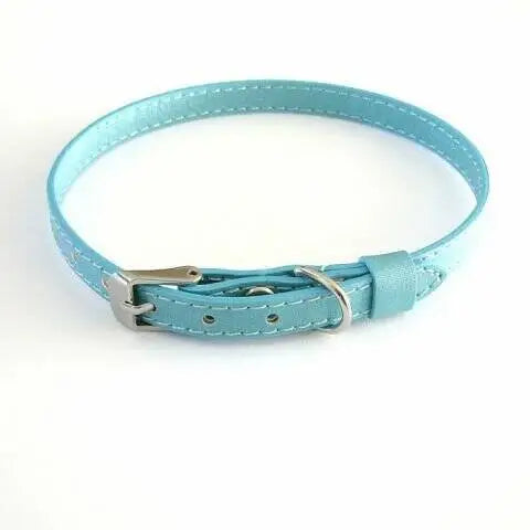 Chihuahua halsbandje 22-26 cm — Blauw