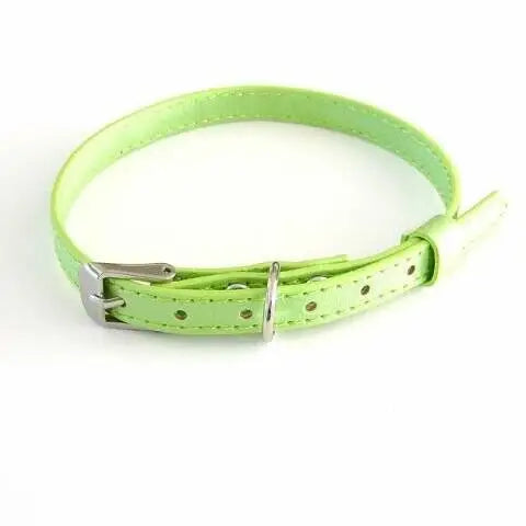 Chihuahua halsbandje 22-26 cm — Groen