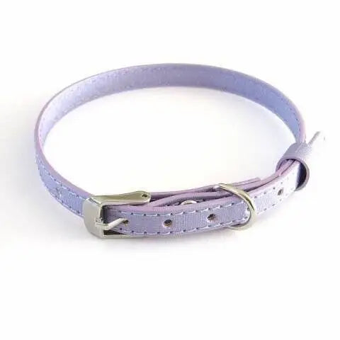 Chihuahua halsbandje 22-26 cm — Lila