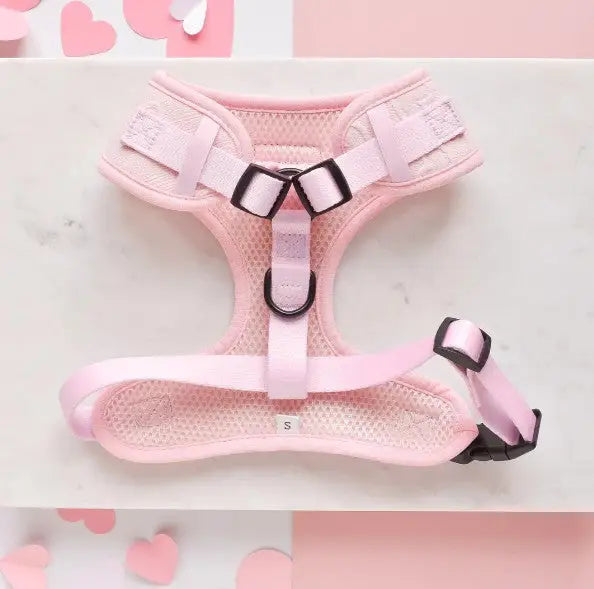 Cocopup London Hondenharnas Baby Pink Heart XS — Roze
