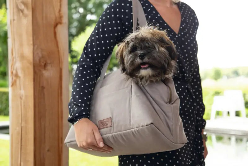 Designed by Lotte Hondendraagtas Bundu 40x20x28 cm — Beige - HONDENTAS