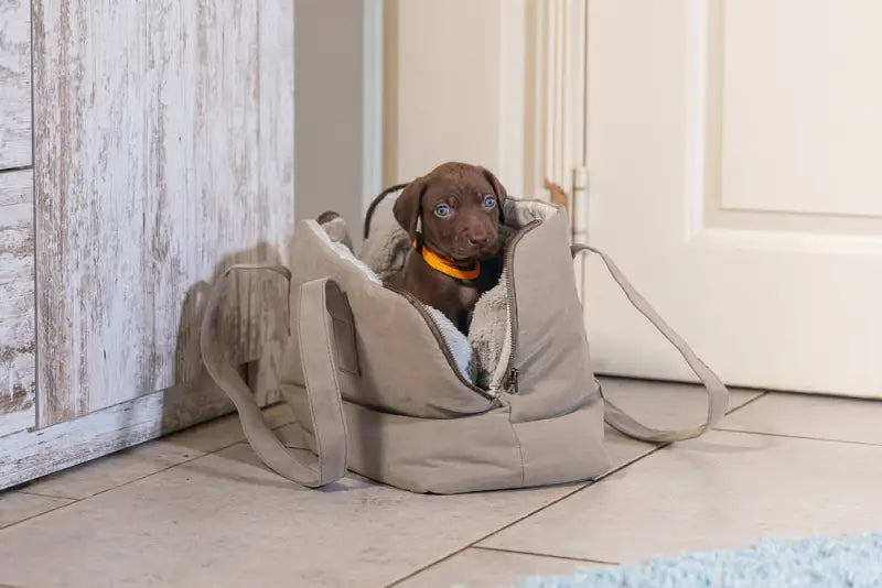 Designed by Lotte Hondendraagtas Bundu 40x20x28 cm — Beige - HONDENTAS