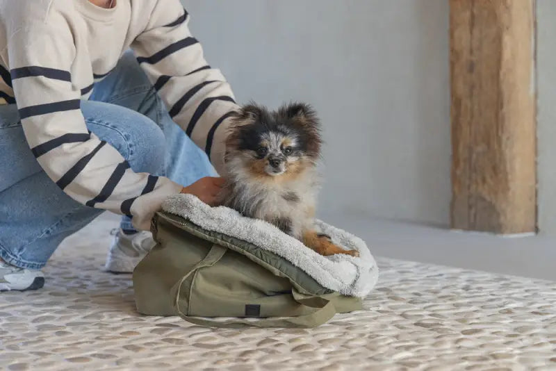 Designed by Lotte Hondendraagtas Bundu 48x23x33 cm — Groen - HONDENTAS