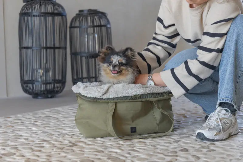 Designed by Lotte Hondendraagtas Bundu 48x23x33 cm — Groen - HONDENTAS