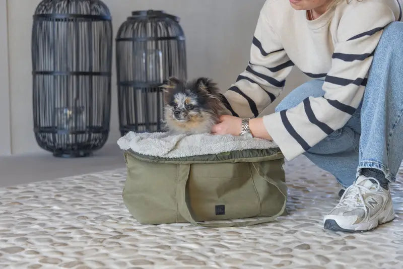 Designed by Lotte Hondendraagtas Bundu 48x23x33 cm — Groen - HONDENTAS