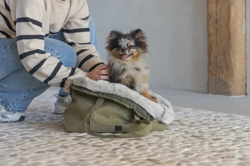 Designed by Lotte Hondendraagtas Bundu 48x23x33 cm — Groen - HONDENTAS