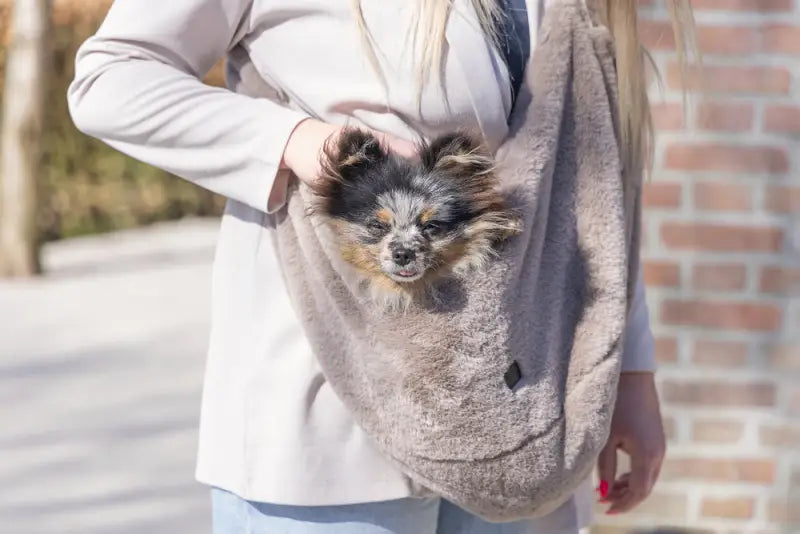 Designed by Lotte Hondendraagtas Laki 48x20x35 cm — Beige - HONDENTAS