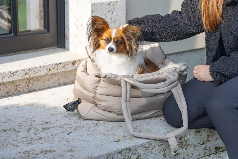 Designed by Lotte Hondendraagtas Tico 42x20x35 cm — Beige - HONDENTAS