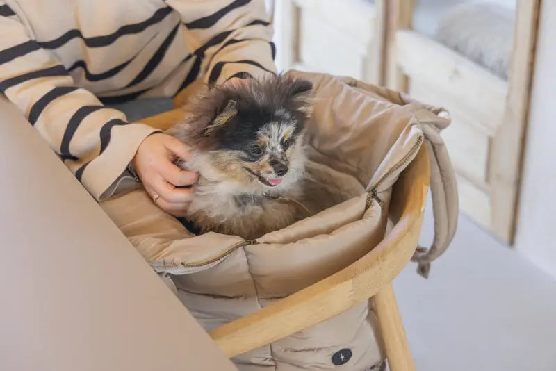 Designed by Lotte Hondendraagtas Tico 42x20x35 cm — Beige - HONDENTAS