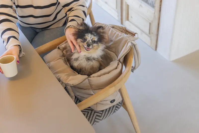 Designed by Lotte Hondendraagtas Tico 42x20x35 cm — Beige - HONDENTAS