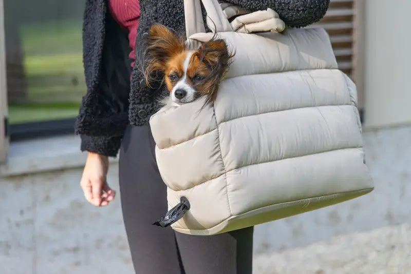 Designed by Lotte Hondendraagtas Tico 42x20x35 cm — Beige - HONDENTAS