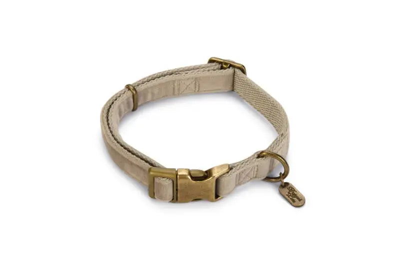 Designed by Lotte Hondenhalsband Velura 35-50 cm — Grijs