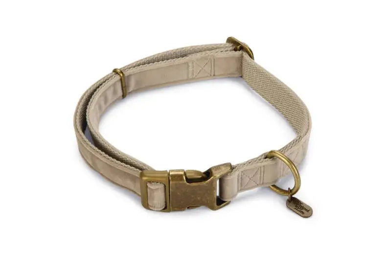 Designed by Lotte Hondenhalsband Velura 48-70 cm — Grijs