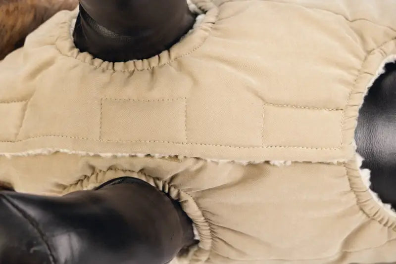 Designed by Lotte Hondenjas Philos — Beige - Hondenkleding