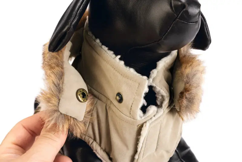 Designed by Lotte Hondenjas Philos — Beige - Hondenkleding