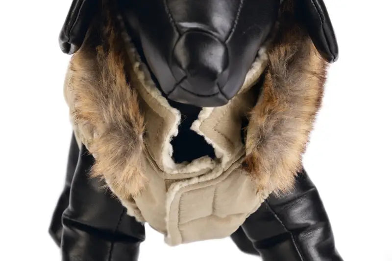 Designed by Lotte Hondenjas Philos — Beige - Hondenkleding