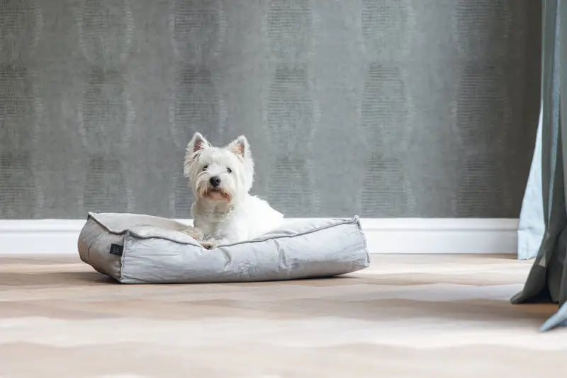 Designed by Lotte Hondenkussen Nalino — Grijs - BEDDEN/MANDEN/KUSSENS