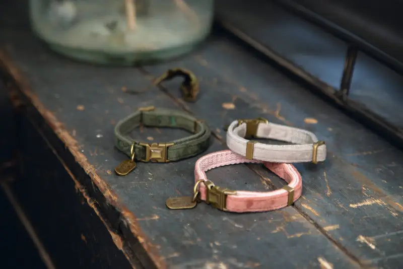 Designed by Lotte Kattenhalsbandje Velura — Groen - HALSBANDEN/LIJNEN NYLON