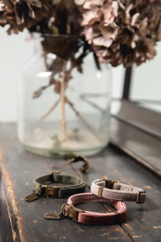 Designed by Lotte Kattenhalsbandje Velura — Roze - HALSBANDEN/LIJNEN NYLON