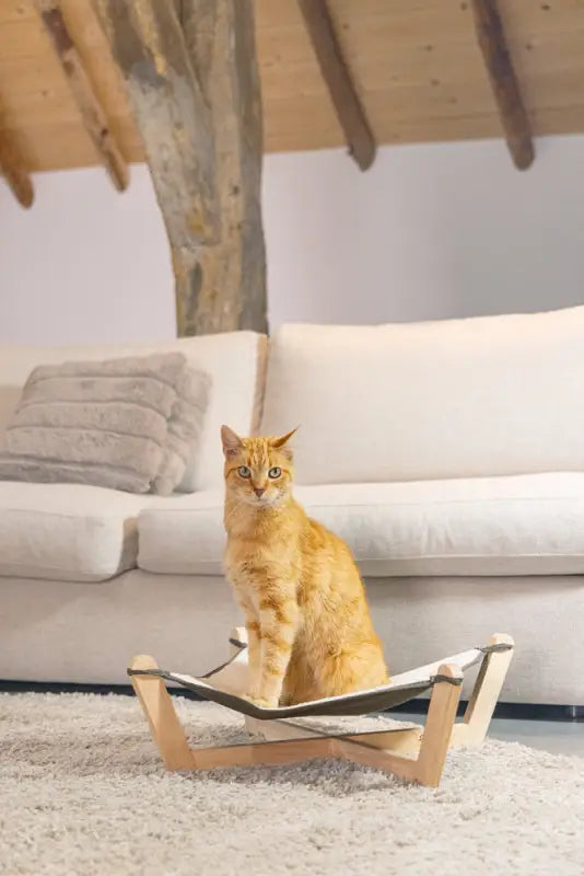 Designed by Lotte Kattenhangmat Gaia — Beige / Grijs