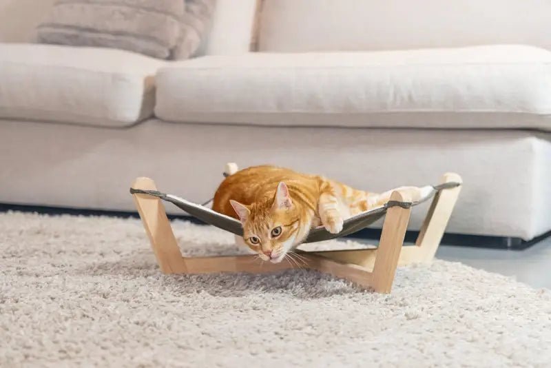 Designed by Lotte Kattenhangmat Gaia — Beige / Grijs