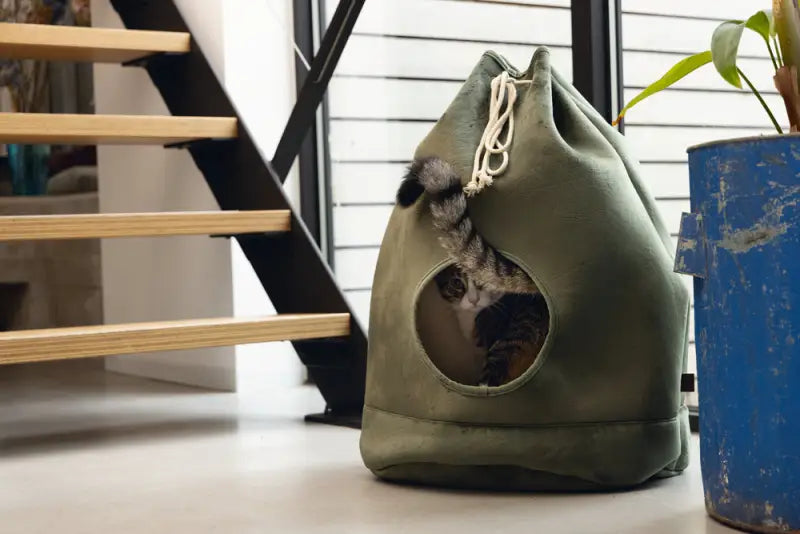 Designed by Lotte Kattenhuis Vilar — Groen - BEDDEN/MANDEN/KUSSENS