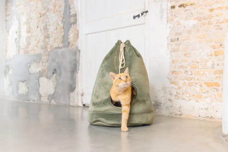 Designed by Lotte Kattenhuis Vilar — Groen - BEDDEN/MANDEN/KUSSENS