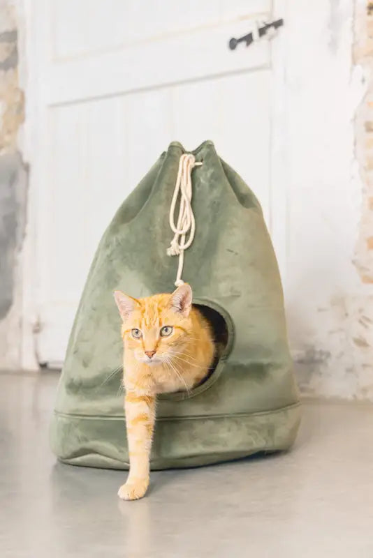 Designed by Lotte Kattenhuis Vilar — Groen - BEDDEN/MANDEN/KUSSENS