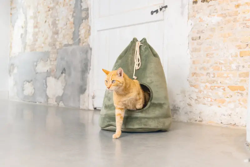 Designed by Lotte Kattenhuis Vilar — Groen - BEDDEN/MANDEN/KUSSENS