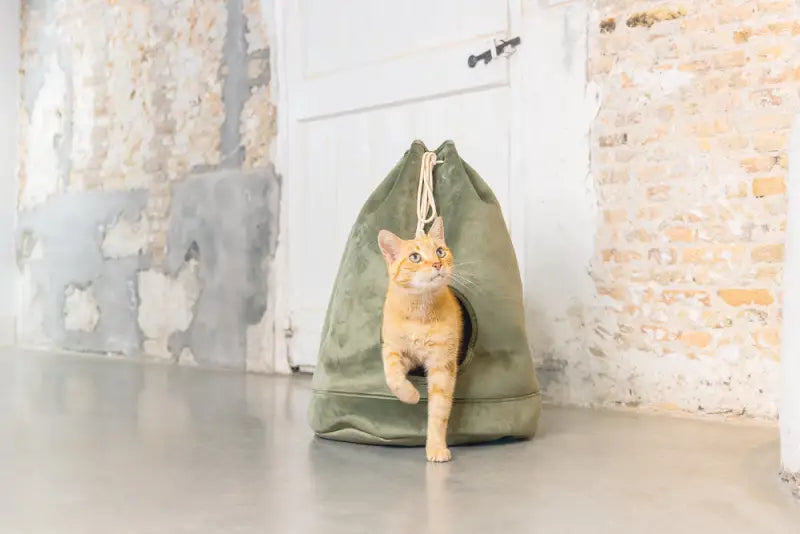 Designed by Lotte Kattenhuis Vilar — Groen - BEDDEN/MANDEN/KUSSENS