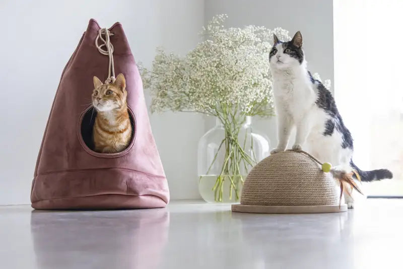 Designed by Lotte Kattenhuis Vilar — Roze - BEDDEN/MANDEN/KUSSENS