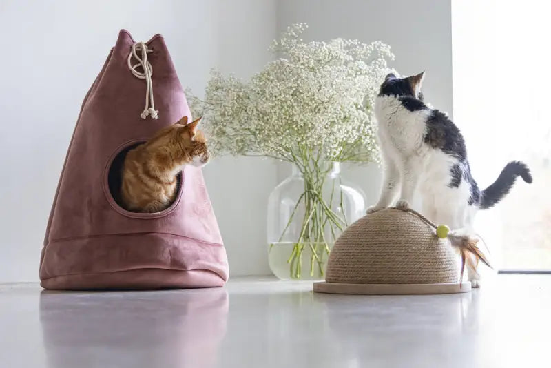 Designed by Lotte Kattenhuis Vilar — Roze - BEDDEN/MANDEN/KUSSENS
