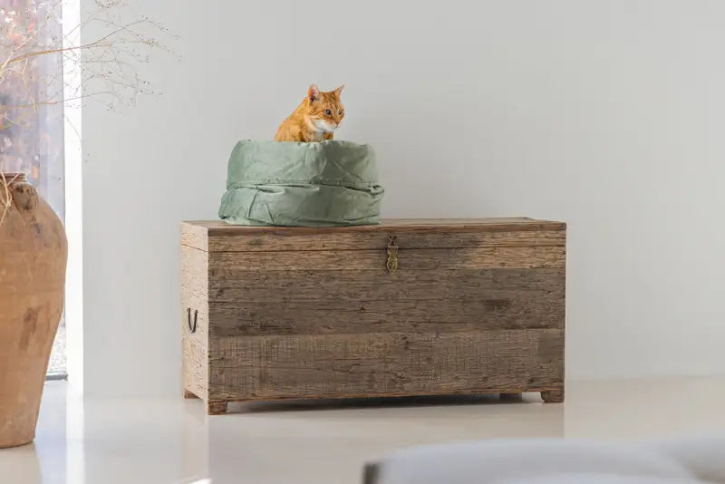 Designed by Lotte Kattenmand Fluco — Groen - BEDDEN/MANDEN/KUSSENS