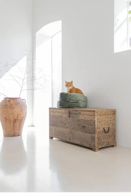 Designed by Lotte Kattenmand Fluco — Groen - BEDDEN/MANDEN/KUSSENS