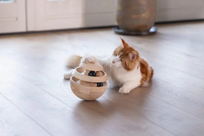 Designed by Lotte Kattenspeelgoed Neya