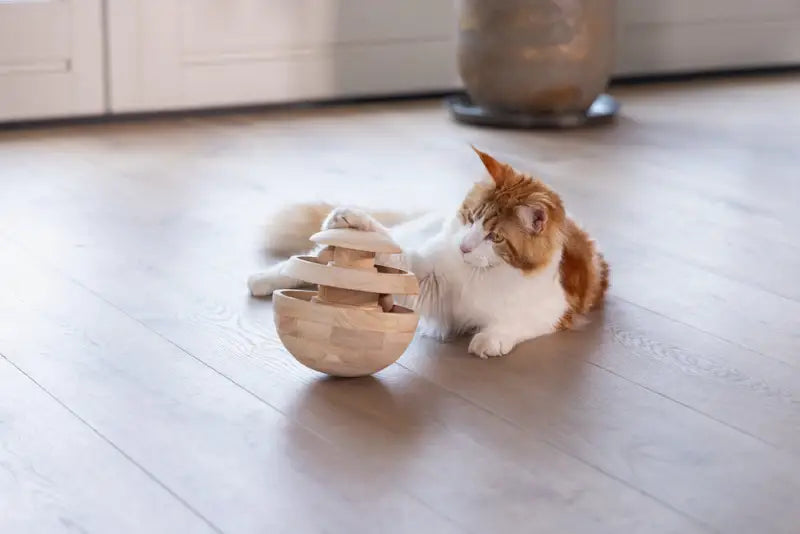 Designed by Lotte Kattenspeelgoed Neya